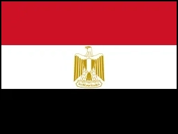 WonderPatch Egypt