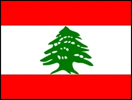 Delta Pro Lebanon